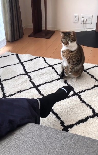 ゆっくり立ち上がり…