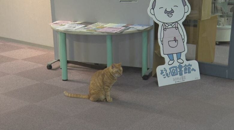 トラネコの「ムクニャン」