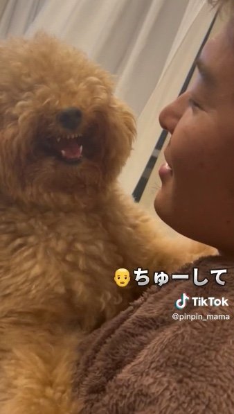 提供：ピン太郎ママさん