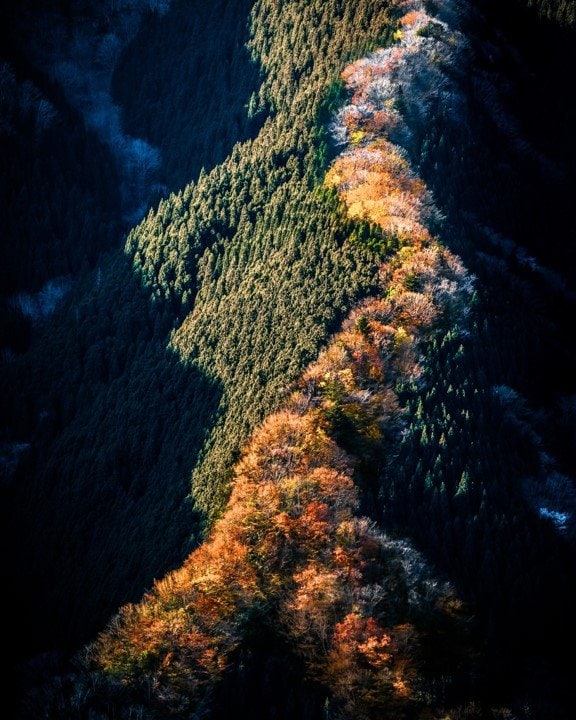 まるで昇り竜のような秋のナメゴ谷