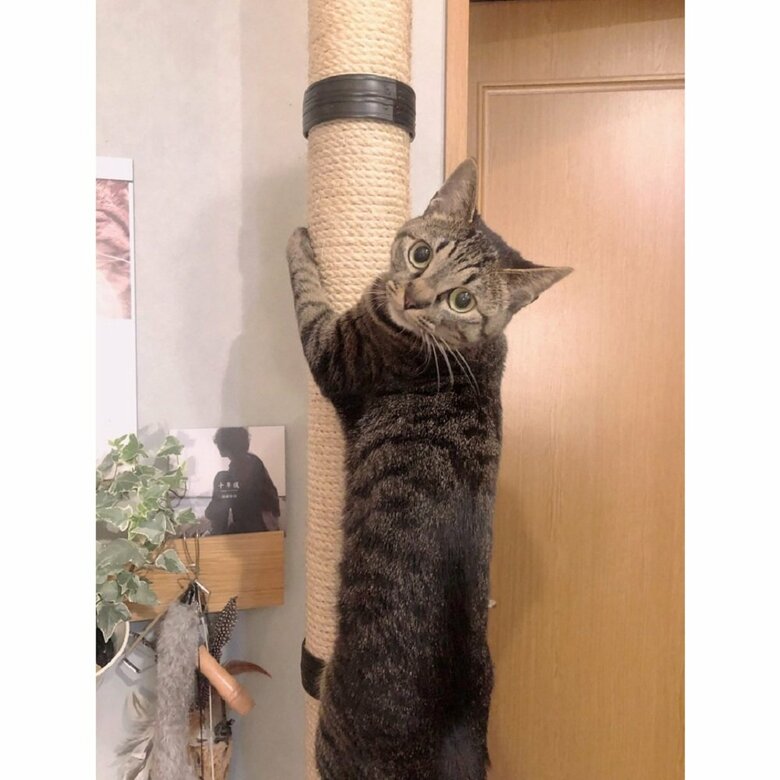 写真を撮られるのが好き　カメラ目線は欠かさない！