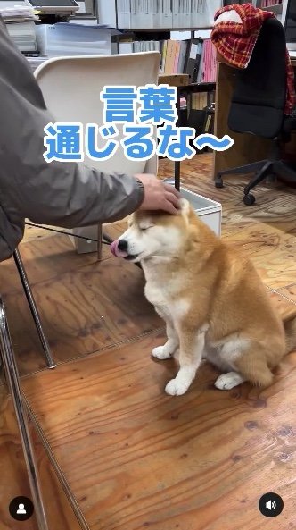 提供：エイトデザイン