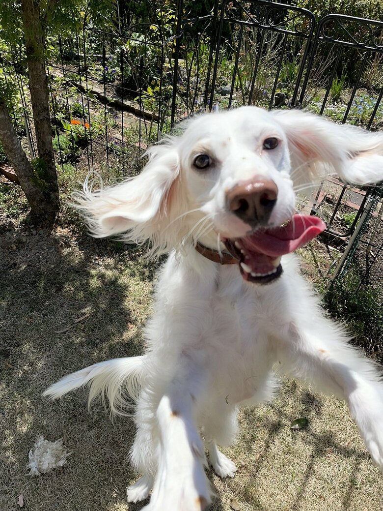 ジャンプの瞬間