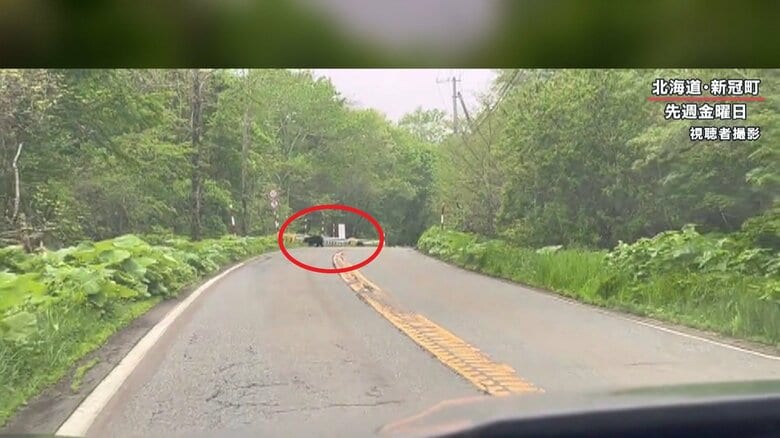 諦めたのか、茂みに姿を消した