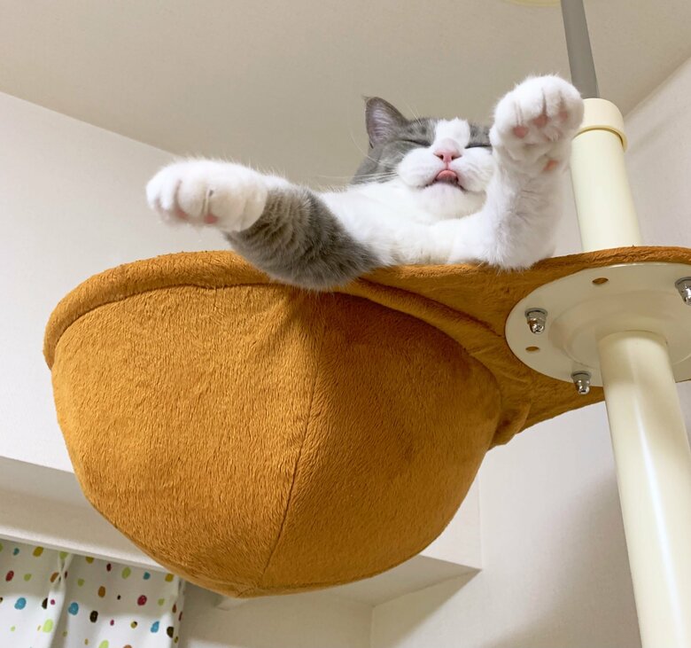 提供：いずもん/まろ様さん