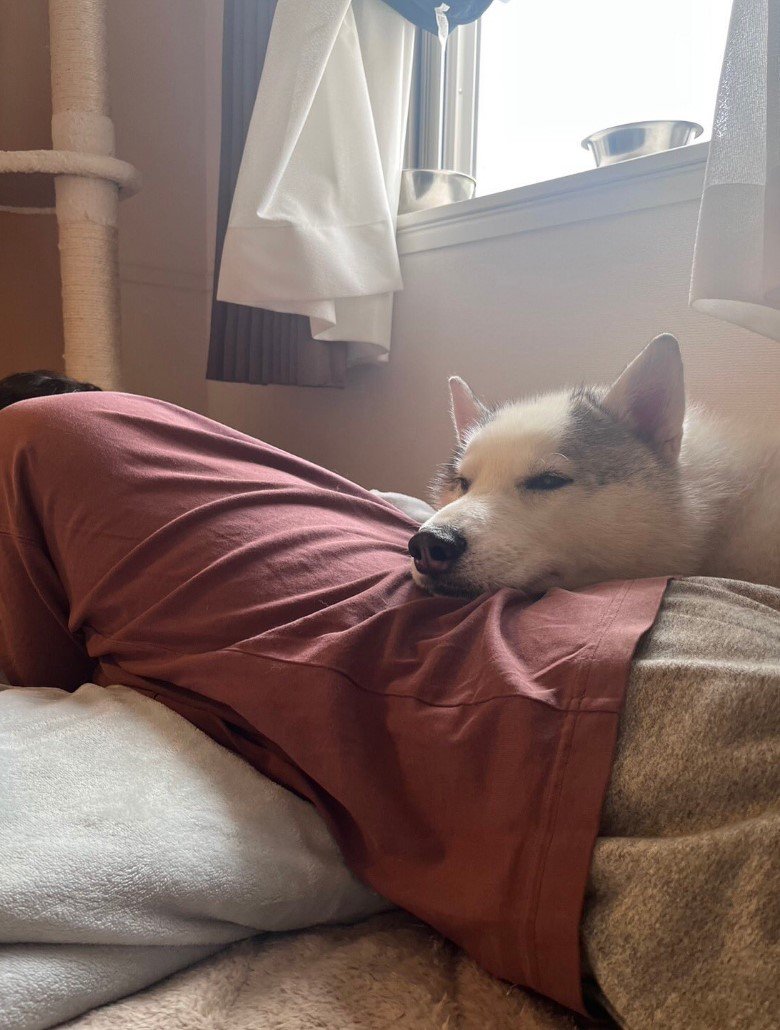 背中を枕に寝る銀太くん（提供：斑柄兄妹（銀太と緋那子）さん）