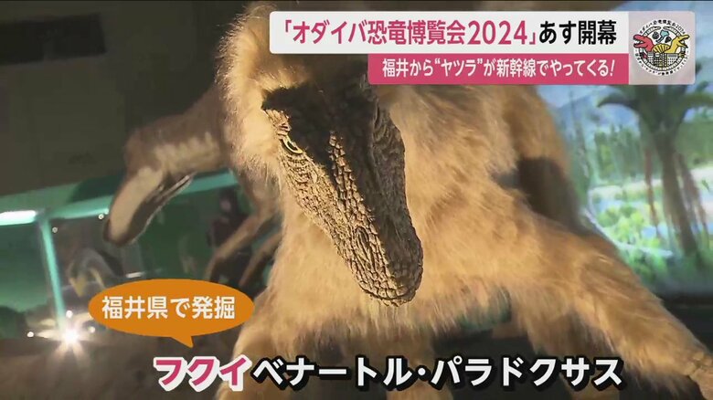 フクイベナートル・パラドクサスがいる第2会場