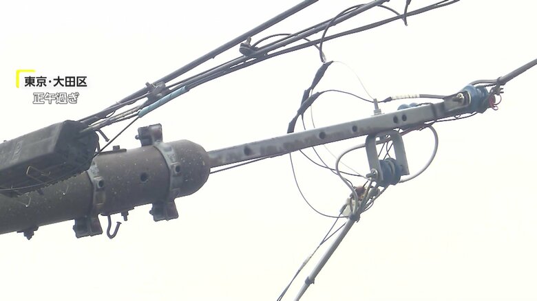折れた電柱