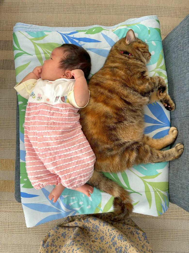 提供：エルモとみみりんさん