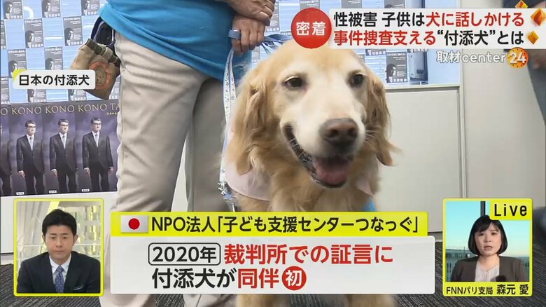 日本でも20頭が活躍している付添犬