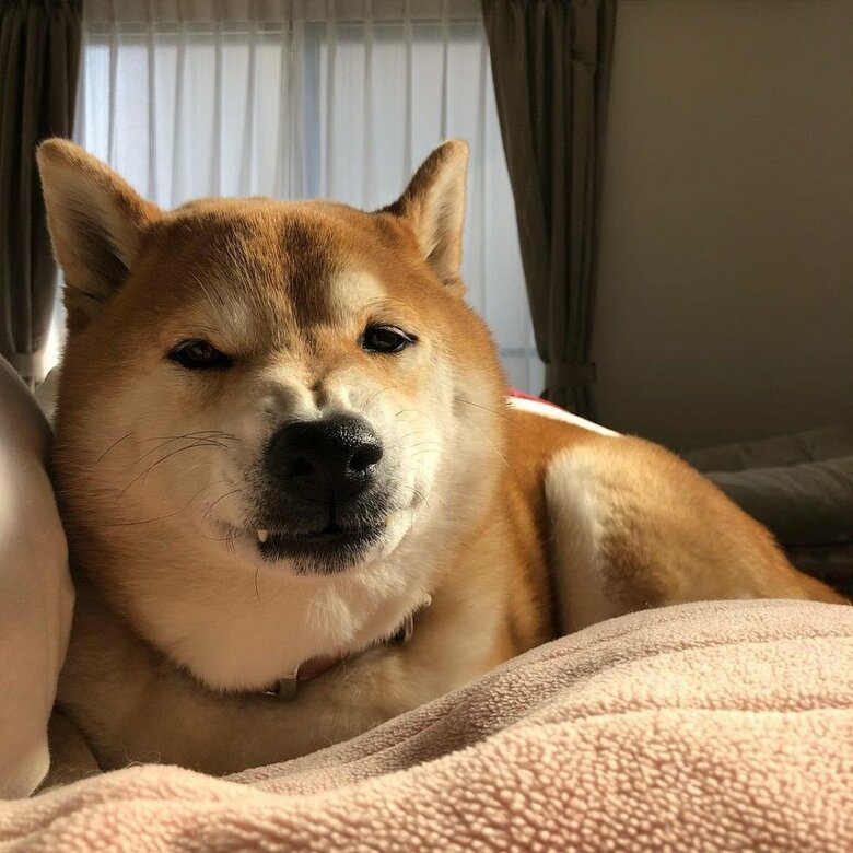 「出かける」と言ったら怒られた