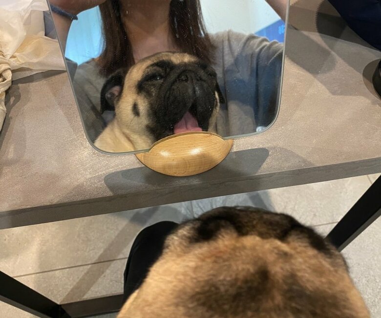 提供：よこむすびさん