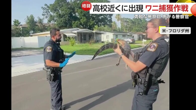 男性警察官にワニを渡そうとする女性警察官