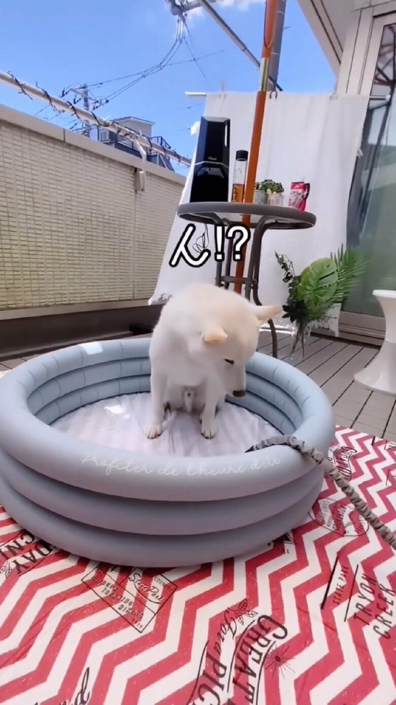 「ん!?」