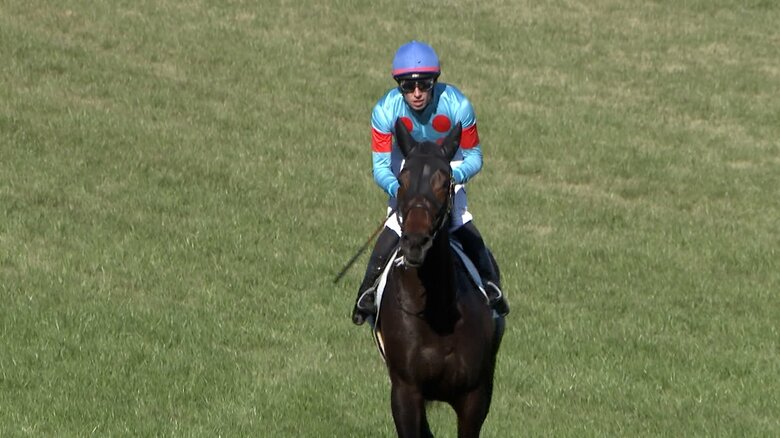 去年の2歳未勝利戦を制したバステール