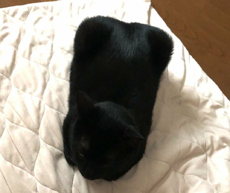 「角ばっているな」と思う時もあるそう