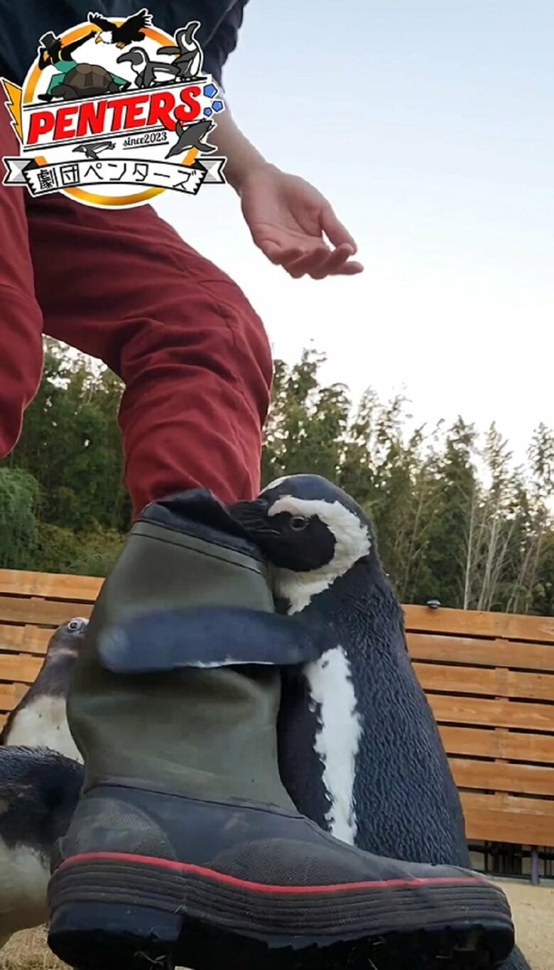 いい音が響いてる