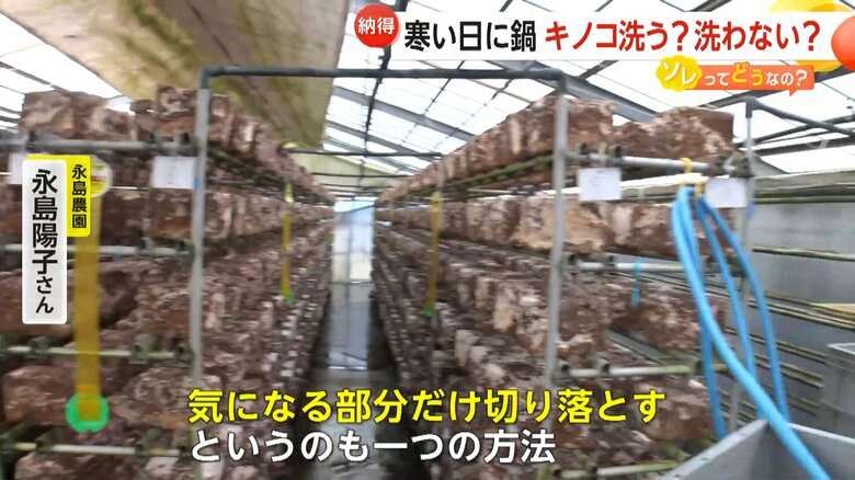 「気になる部分だけ切り落とすのも1つの方法」と話すキノコ農家の永島さん