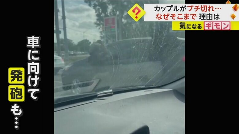 （FHP Tampa）