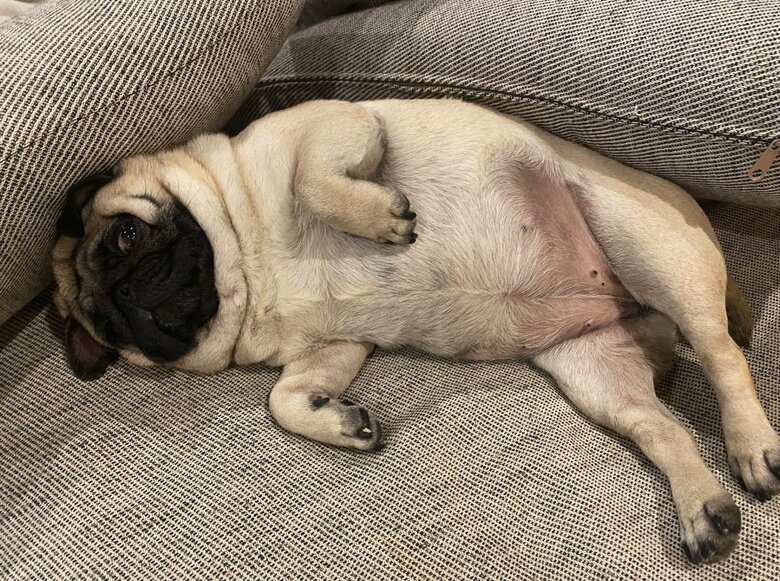 提供：よこむすびさん