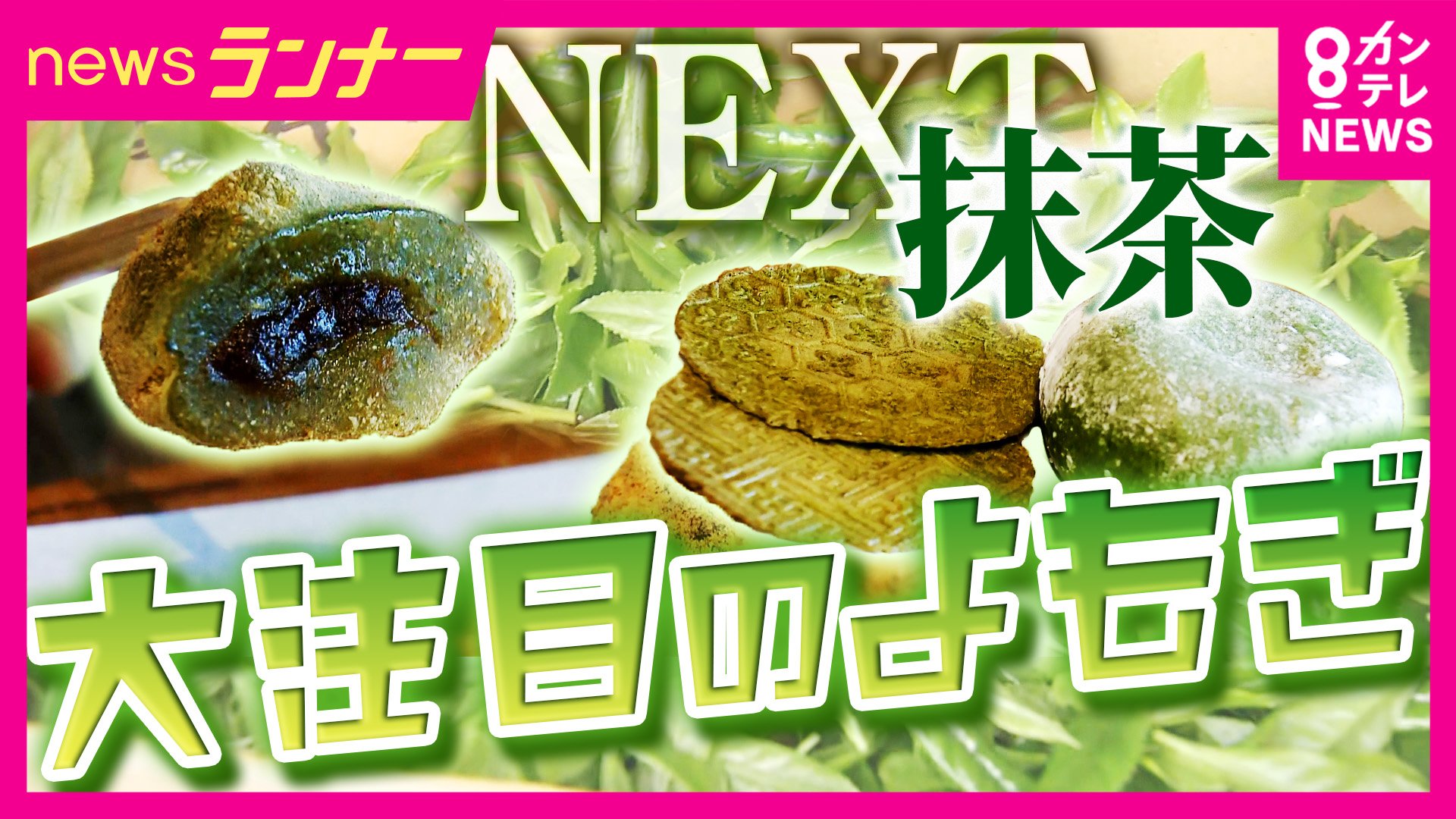よもぎ 抹茶の品薄・高騰で注目集まる『ヨモギ』 “ネクスト抹茶”とも ヨモギ