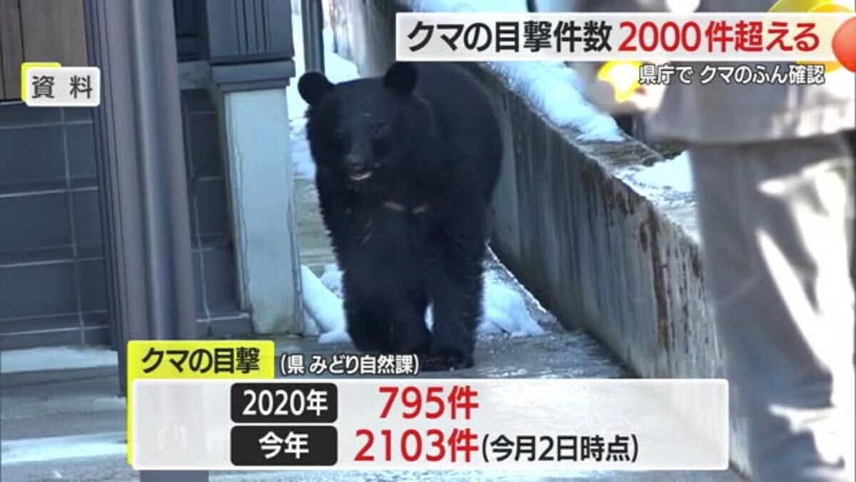 クマのふんにイチョウのタネ…県庁前・川西町の住宅敷地に出没 2025年