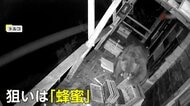 クマが家の手すりをくぐりバルコニーに侵入…ハチミツが狙われる　被害は翌日にも　住人「食べ尽くされた」　トルコ