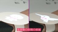 「時間の感覚」体感でタイパ向上へ　マイペース？タイプ診断も