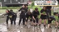 雲南市に移転したソフトボールチーム「シトリンしまね」の選手が田植えに挑戦　”新天地”の食の魅力も満喫