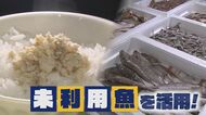 美味しいのに“料理が難”「もったいない！」未利用魚　“味付けフレークに山椒煮”　料理人の挑戦【新潟発】