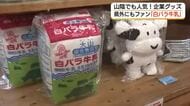山陰でも人気「企業グッズ」“推し活”ブームにも乗って新たなビジネスチャンスに（鳥取・琴浦町）