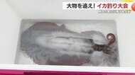 大物を追え！種子島全島を舞台に熱戦展開　アオリイカ釣り大会に釣り人たちが盛り上がった　【鹿児島発】