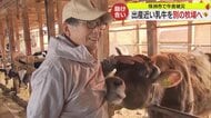 能登半島地震で牛舎が倒壊 畜産農家にも大きな打撃　復旧のめど立たず…出産近い乳牛を別の牧場へ