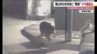 福島・郡山市の住宅地に熊出没　体長1.5ｍのクマが民家近くを歩く姿　追い払い行うも捕獲に至らず