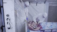 エボラ死者3000人超える、コンゴ民主共和国　過去最悪
