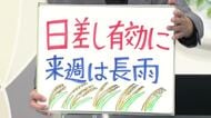 【エンドトーク】「日差し有効に・来週は長雨」週末のポイント　山形