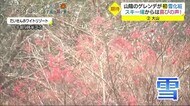 今シーズンに期待膨らむ雪 山陰各地のスキー場は雪化粧 来週は平野部でも初雪か(若桜町)