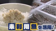 美味しいのに“料理が難”「もったいない！」未利用魚　“味付けフレークに山椒煮”　料理人の挑戦【新潟発】