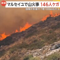 車両火災が強風の影響で広がったか　フランスで山火事…煙が100km広がり146人怪我