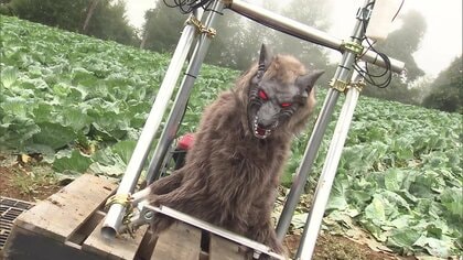 クマ対策の“切り札”野生動物撃退装置「モンスターウルフ」山形市で実証実験開始　宮城では“七面鳥食べたクマ”捕獲も新たな目撃情報