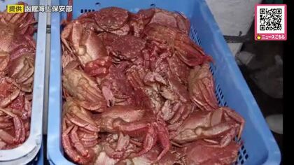 毛ガニ508匹を密漁＿船長の48歳男ら3人逮捕＿販売目的で密漁か＿北海道森町