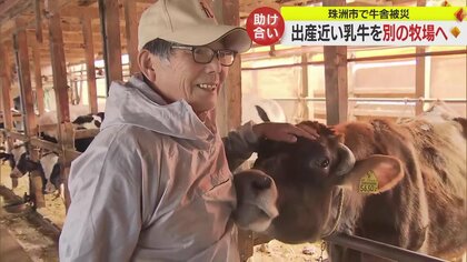 能登半島地震で牛舎が倒壊 畜産農家にも大きな打撃　復旧のめど立たず…出産近い乳牛を別の牧場へ