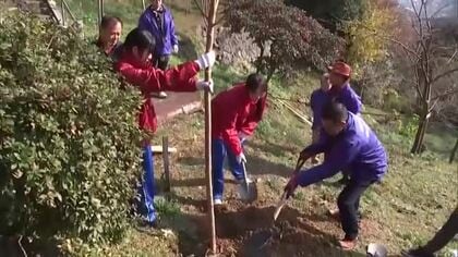 社会奉仕活動でロータリークラブがサクラを植樹　大分県別府市