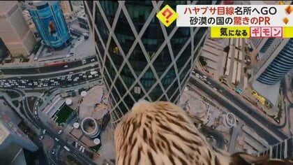 「ハヤブサ目線」で…砂漠の国・カタール観光局が驚きのPR動画…再生回数120万回超　観光名所を空から遊覧