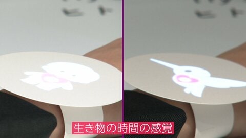 「時間の感覚」体感でタイパ向上へ　マイペース？タイプ診断も