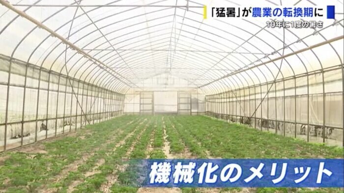 ハウス内の吹き出し口からミストが噴射
