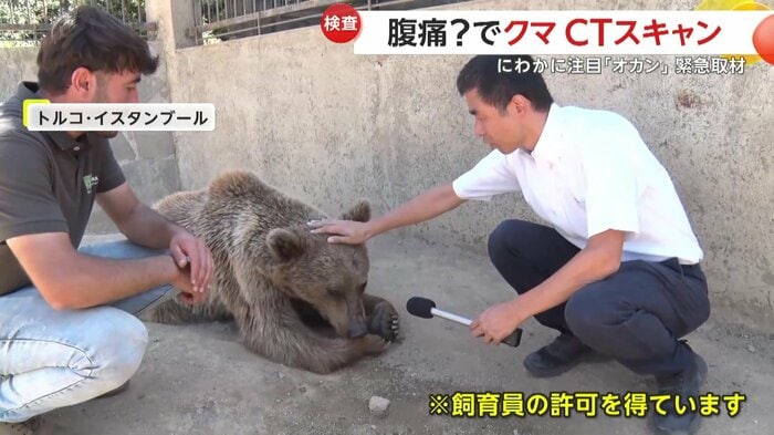 頭をなでさせてくれるヒグマの「オカン」(IHA)