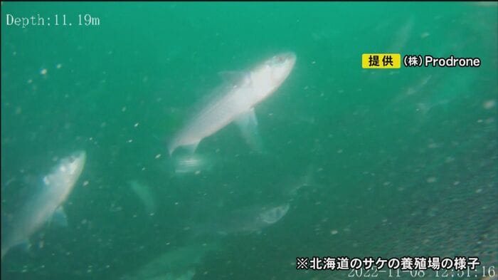 ニュースONE