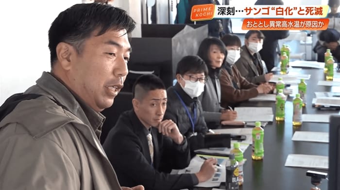 「こうちサンゴ沿岸生態系適応ネットワーク」