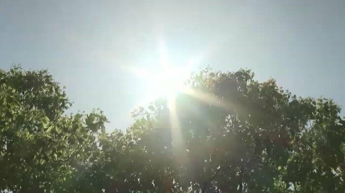 熱中症への備えが重要に